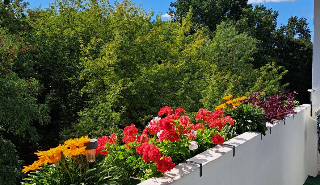 Blumen