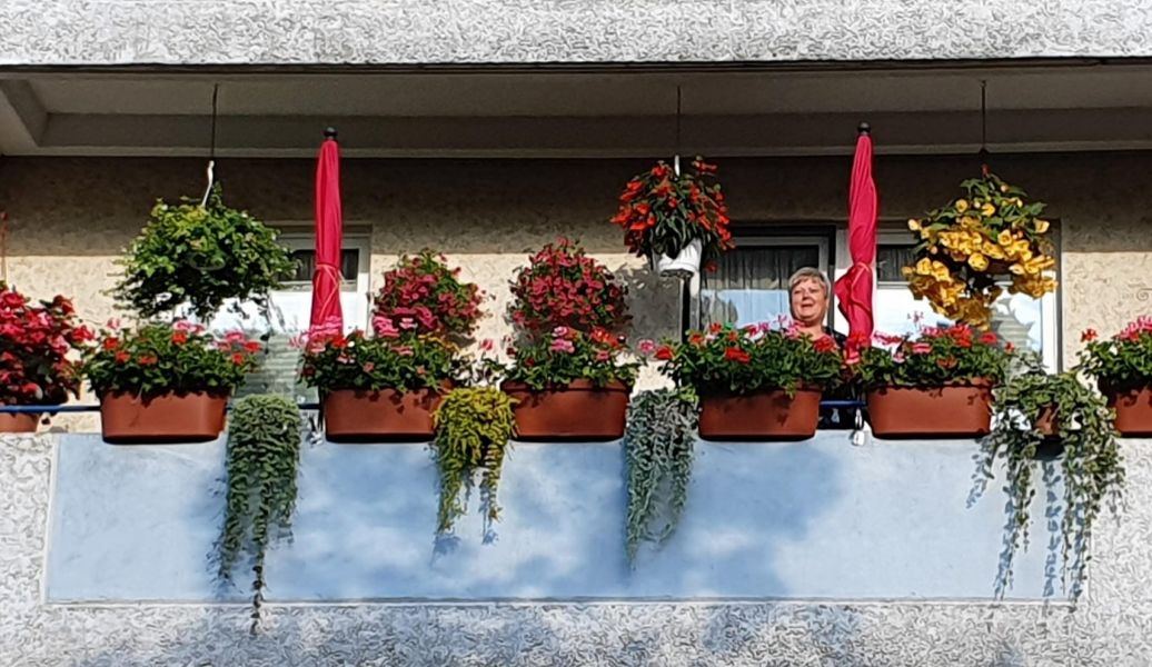 Blumen
