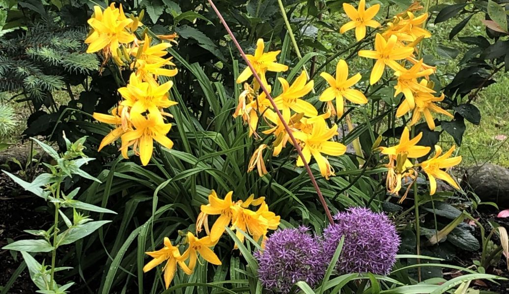 Blumen