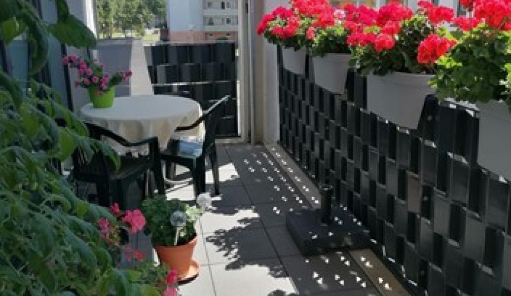 Pflanzen auf Balkon